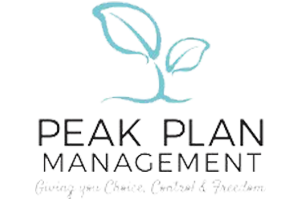 Peak Plan And Management